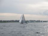 IMG_2870.jpg