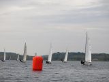 IMG_2981.jpg